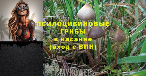 дурь Нея