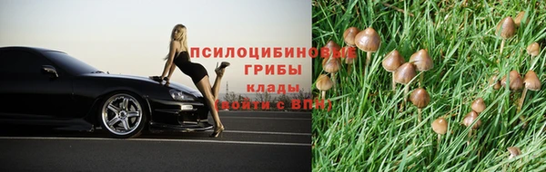 дурь Нея