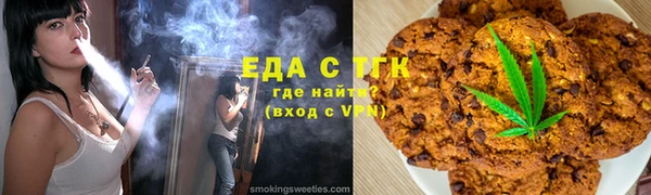 сатива Новозыбков