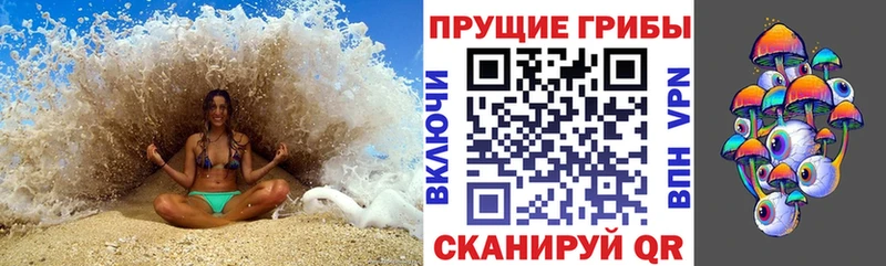 где найти   Харовск  Галлюциногенные грибы мухоморы 